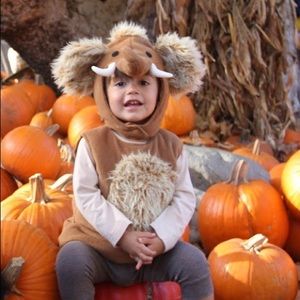 Lightly warn Mammoth Costume from Pottery Barn